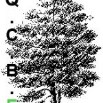 logo QCBE