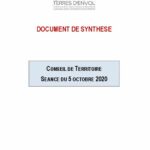 thumbnail of 4.-Dossier-de-synthèse-CT-05.10.2020_anonymise