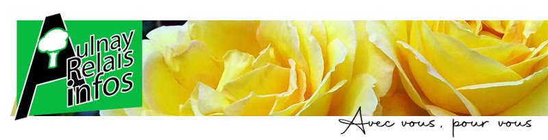Le blog Aulnay Relais infos célèbre ses six mois d'existence ...